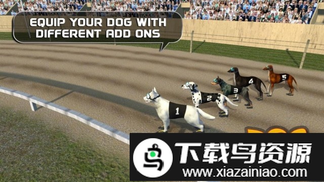 疯狂的狗比赛中文版截图5