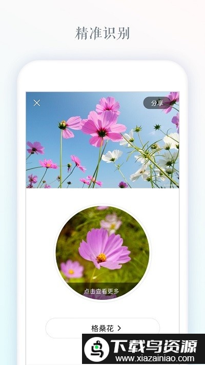 识花大师app最新版截图3