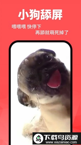 手机动态壁纸免费版截图6