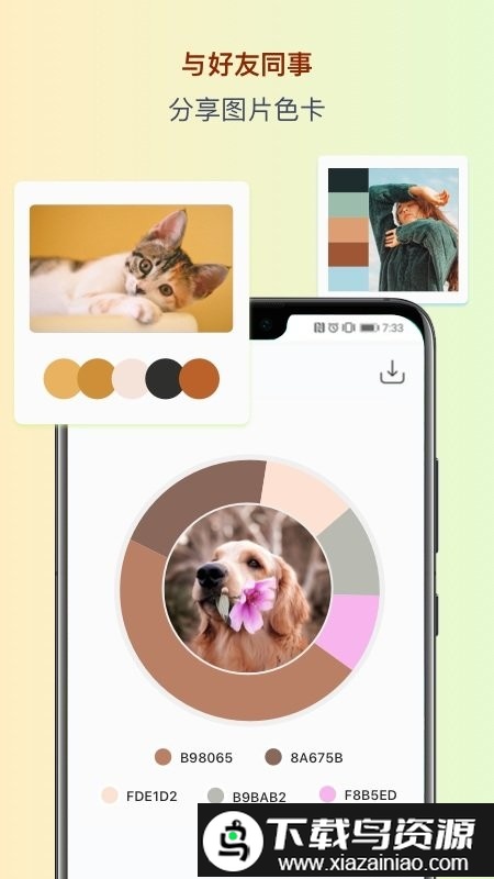 色彩app最新版截图5