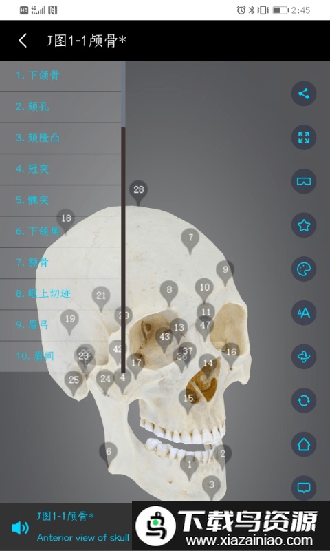 医维度解剖app(医维度人体解剖)截图2