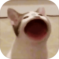 pop cat meme游戏