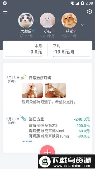 猫咪成长记官方版截图1