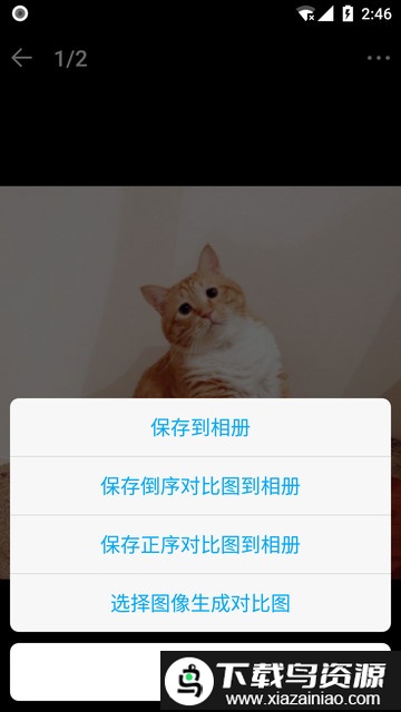 猫咪成长记官方版截图2