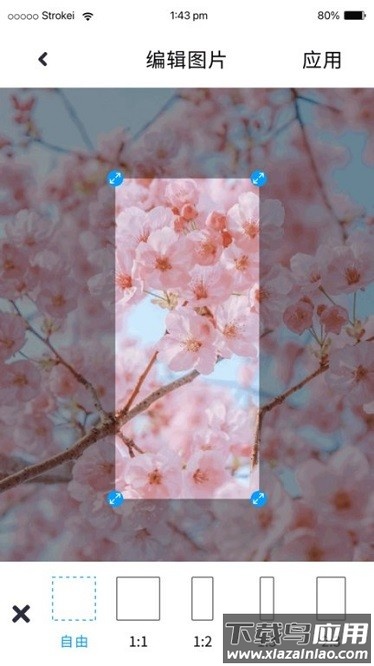 p图照片处理软件