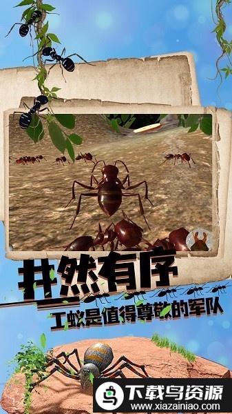 丛林抵御战最新版截图1