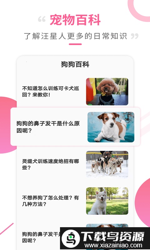狗语翻译工具app截图3