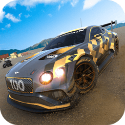 汽车特技模拟器手机版