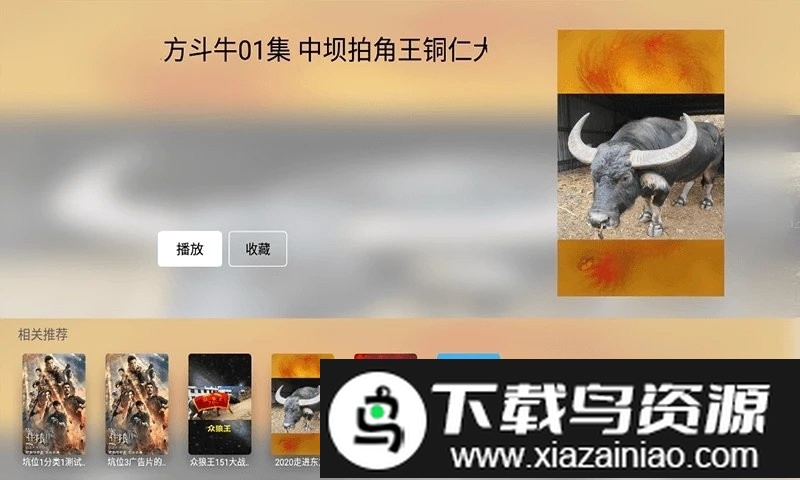 硕牛争霸2024最新版截图2