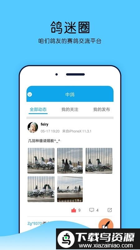 中鸽直播网赛事直播平台截图2