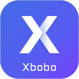 xbobo进存宝软件