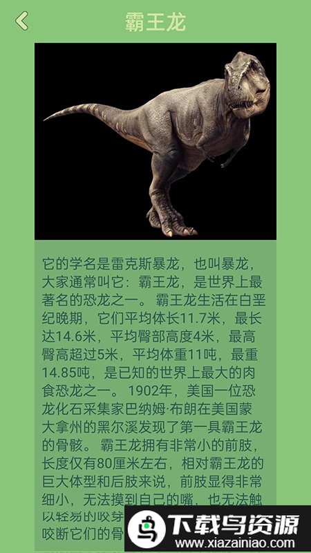 梦幻恐龙岛官方版截图2