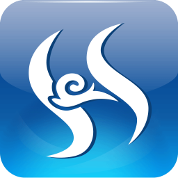 智慧眼认证系统软件