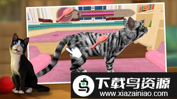 猫舍最新版截图3