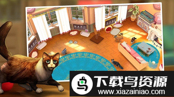 猫舍最新版截图4
