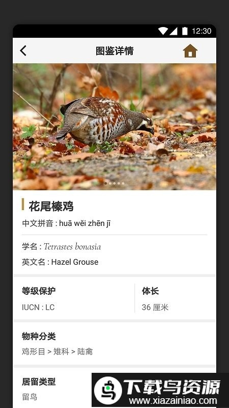 识鸟家app官方版截图2