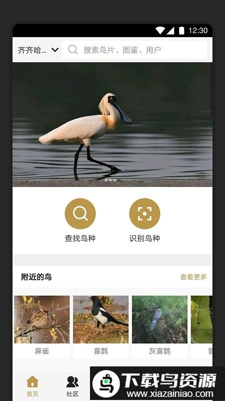 识鸟家app官方版截图5