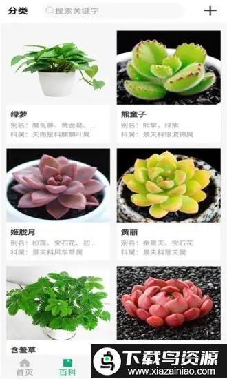 御花园养花app截图2