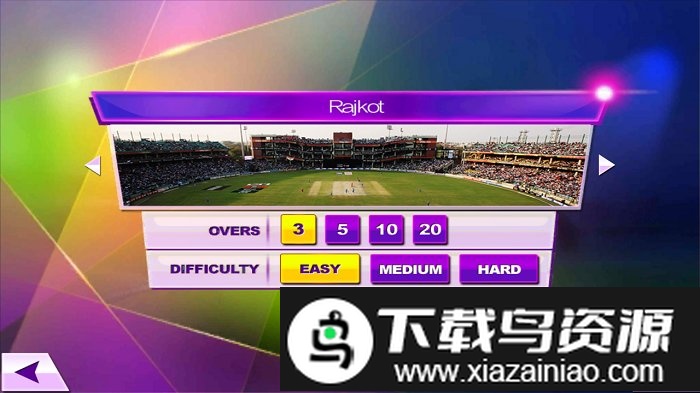 t20板球冠军3d游戏截图1