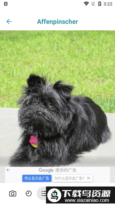 狗狗品种鉴定器app截图1