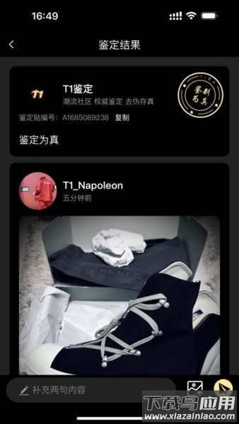 鉴定师官方正版(t1鉴定)