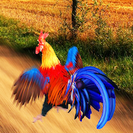 疯狂大跑酷最新官方版