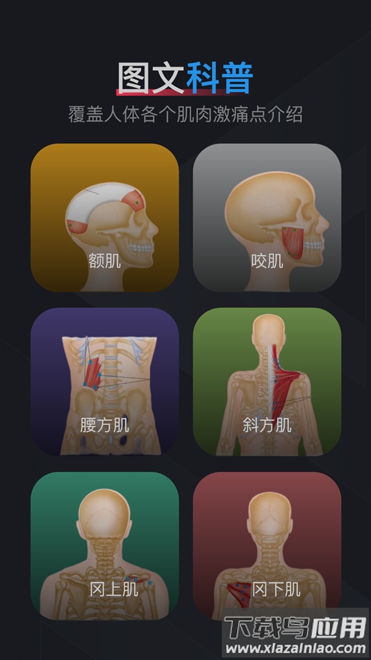 肌肉激痛点图谱软件下载截图1