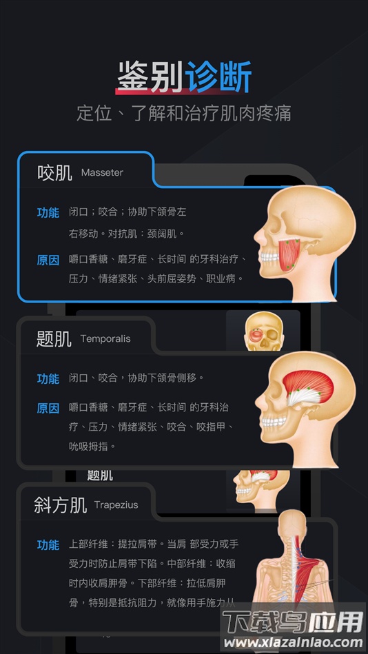 肌肉激痛点图谱软件下载截图2