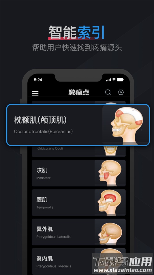 肌肉激痛点图谱软件下载截图4