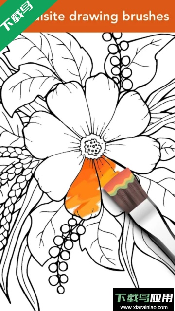 Colorfit官方版截图2