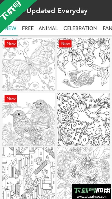 Colorfit官方版截图3