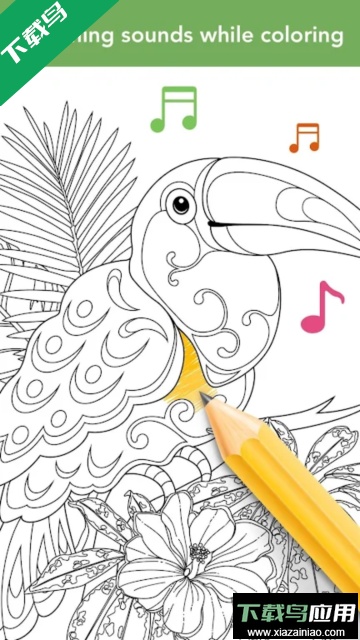 Colorfit官方版截图5