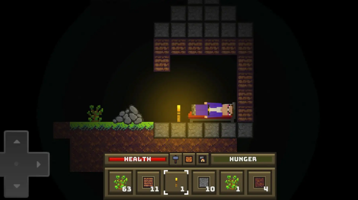 菜鸟生存模拟器手机版截图1