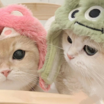 嘤嘤怪影视app官方版