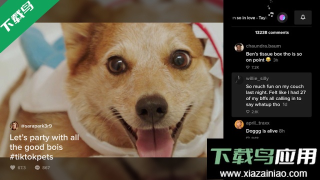 抖音电视版国际版(TikTok TV)下载截图5