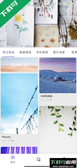 派派壁纸app免费版截图3