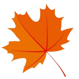 枫奕tvpro电视版app最新版