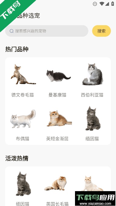 宠酱app最新版2023截图4