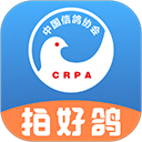 中国信鸽协会app官方版