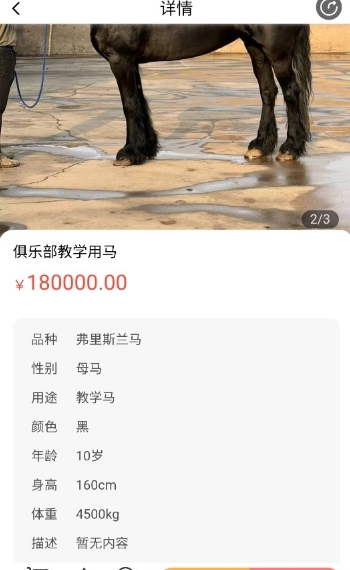 马统app手机版截图3