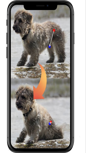 DragGAN安卓手机客户端截图3