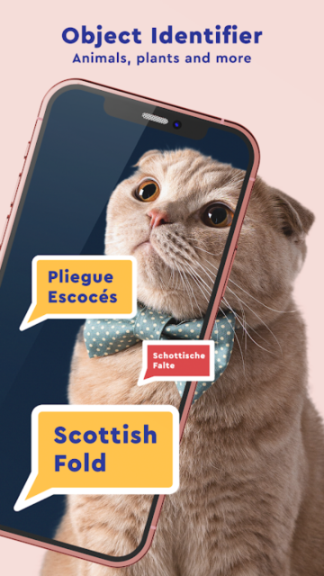 Duff Translate语言翻译器安卓版截图4