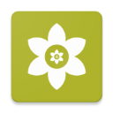 安装狮官方版(Install Lion)