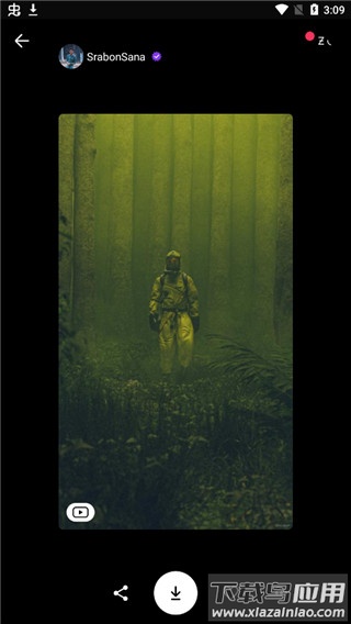 zedge最新中文版截图3