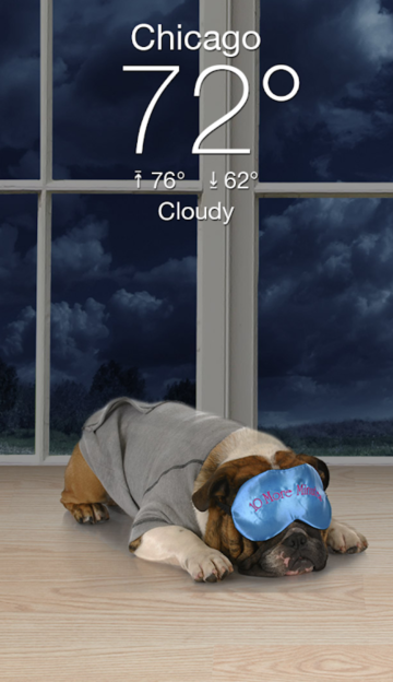 Weather Puppy官方版截图1