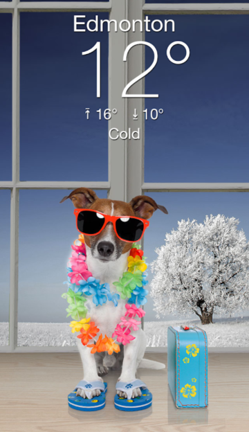 Weather Puppy官方版截图3