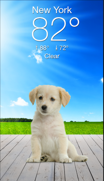 Weather Puppy官方版截图4