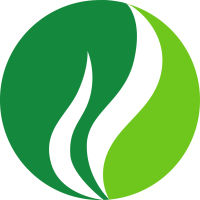 今天网校app官方版