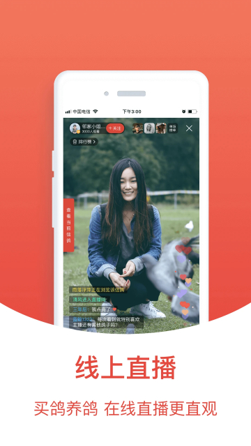 赛鸽头条搜鸽天下2024最新版截图4