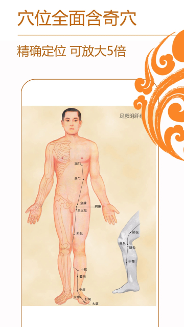 经络养生app安卓版截图4